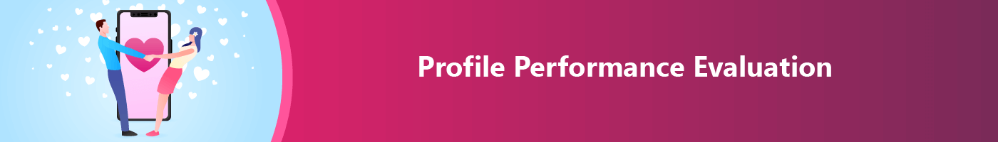 profile performance evaluation